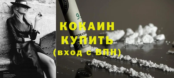 гидра Арсеньев