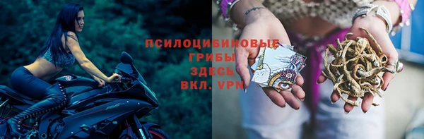 гидра Арсеньев