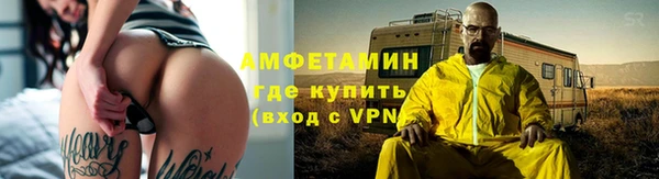 гидра Арсеньев