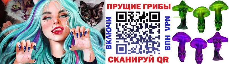 Псилоцибиновые грибы GOLDEN TEACHER Багратионовск